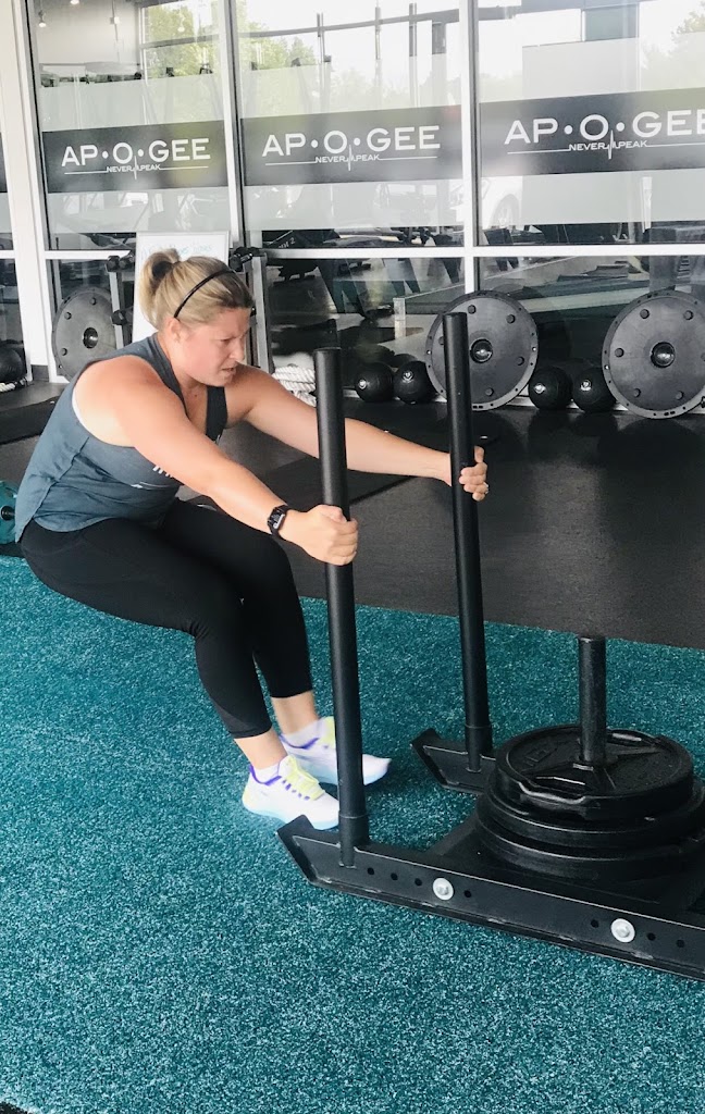  Apogee Fitness- New Lenox