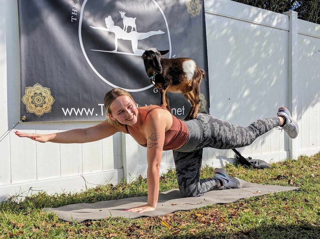  The Little Yogi - Goat Yoga Tampa
