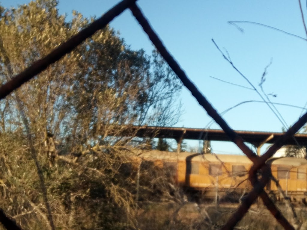 Estacion de servicio El Palmeral