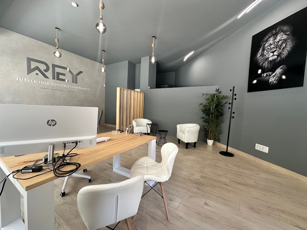 REY SERVICIOS INMOBILIARIOS — Interior