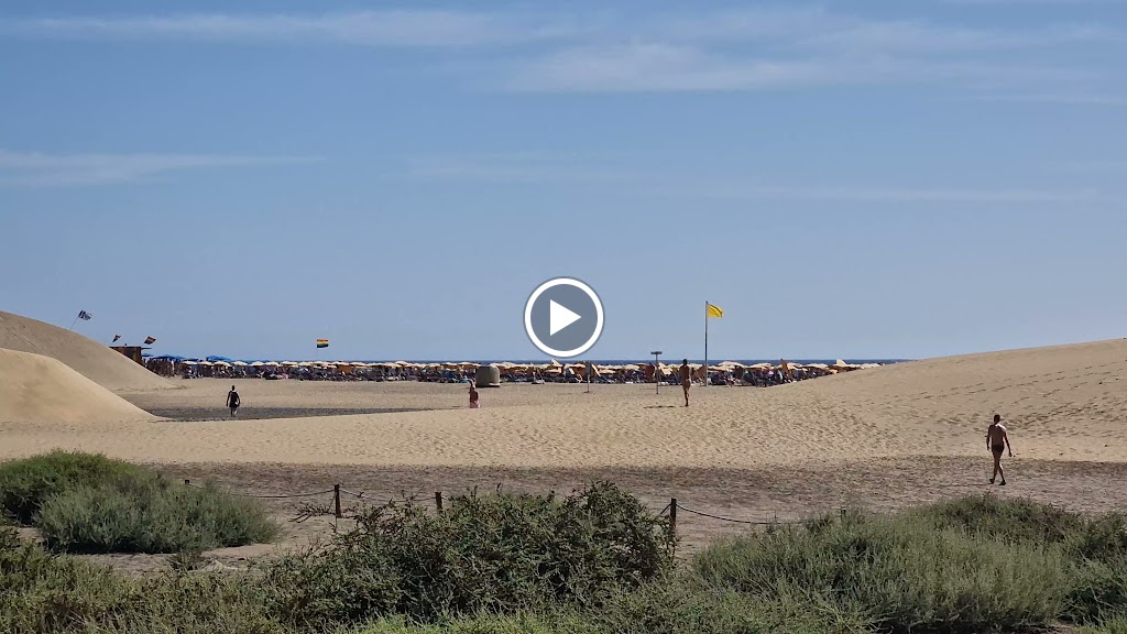 Kiosco Beach Ndeg5 — Videos