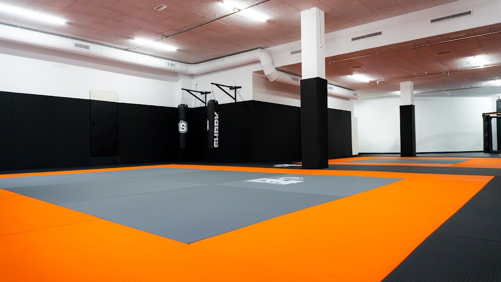 FLEX FIGHTING ACADEMY — Del propietario