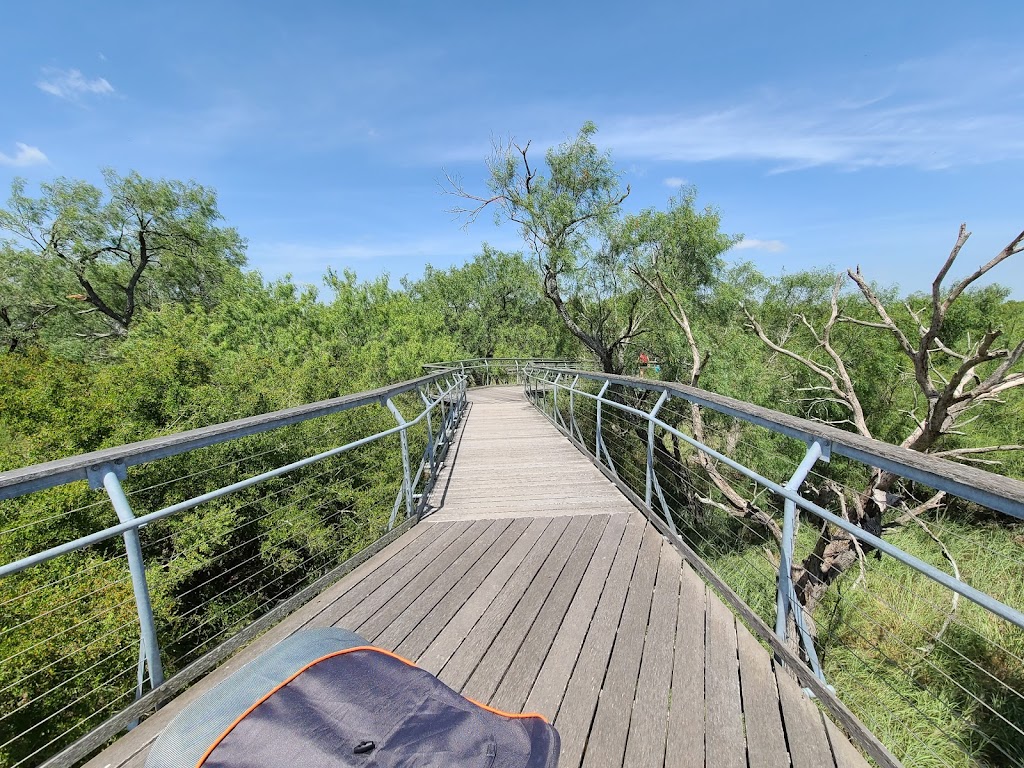 Bentsen-Rio Grande Valley State Park