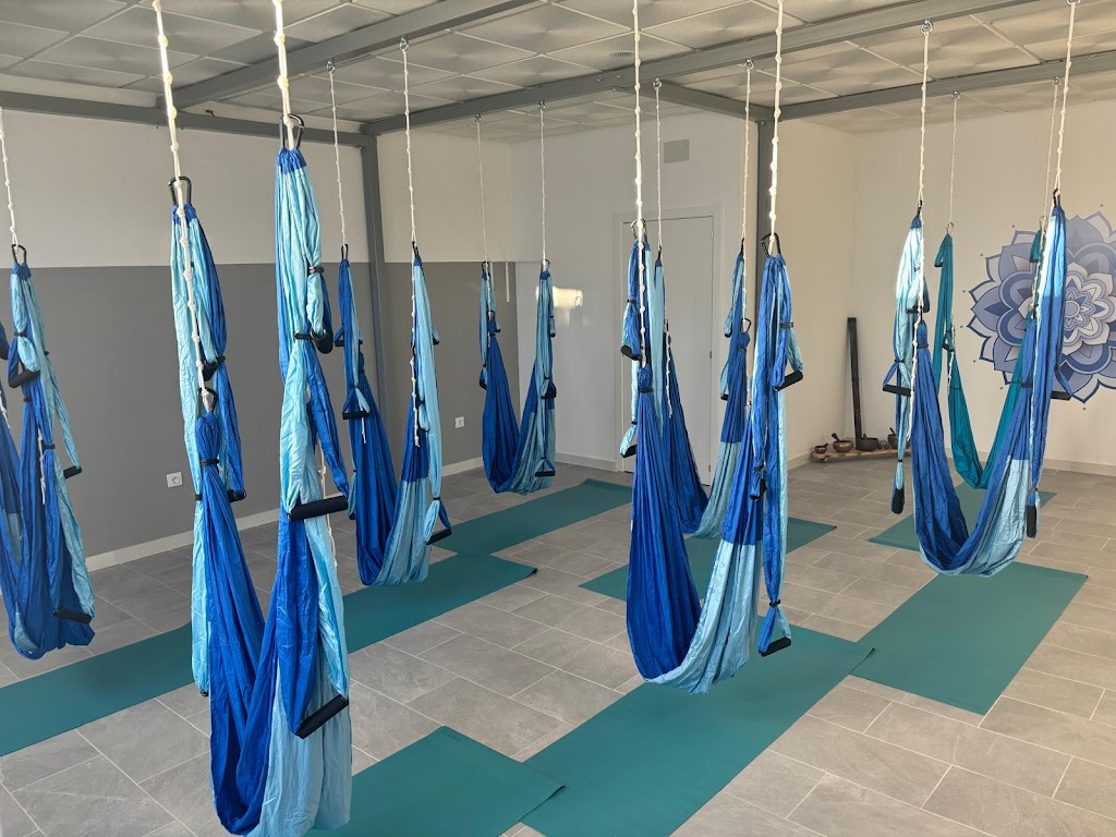 Shala Sangha. Yoga aereo