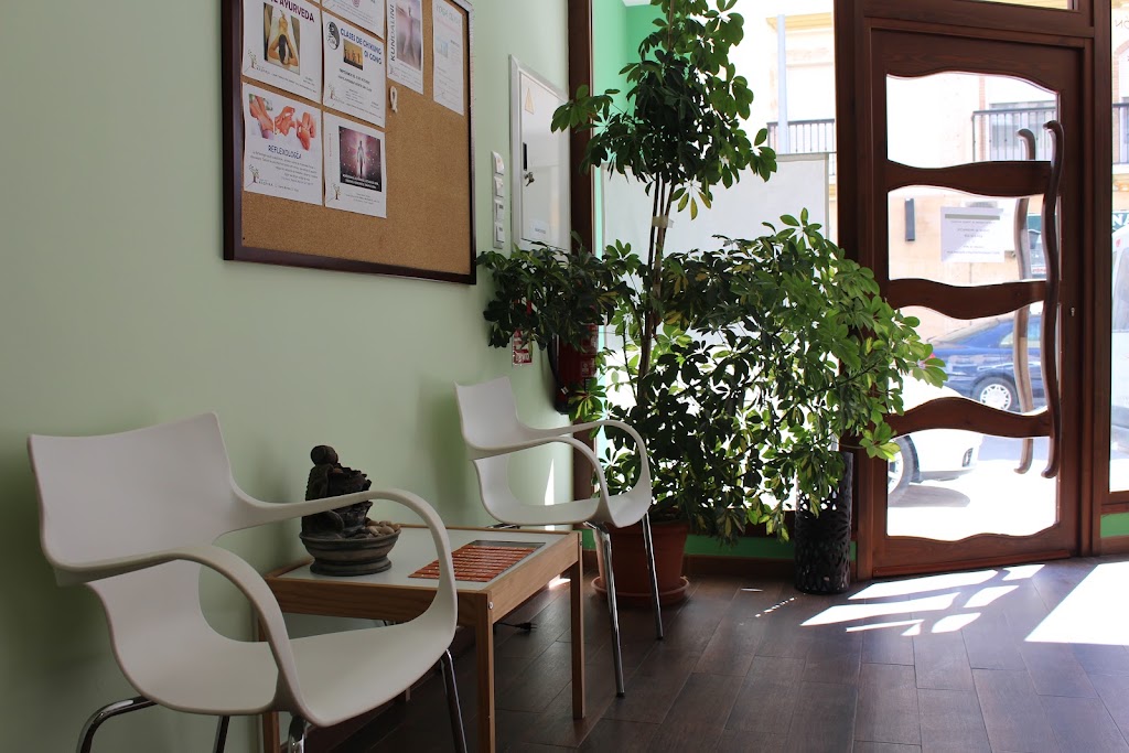 Espacio Vital RESPIRA - Centro de Yoga y Terapias naturales — Del propietario