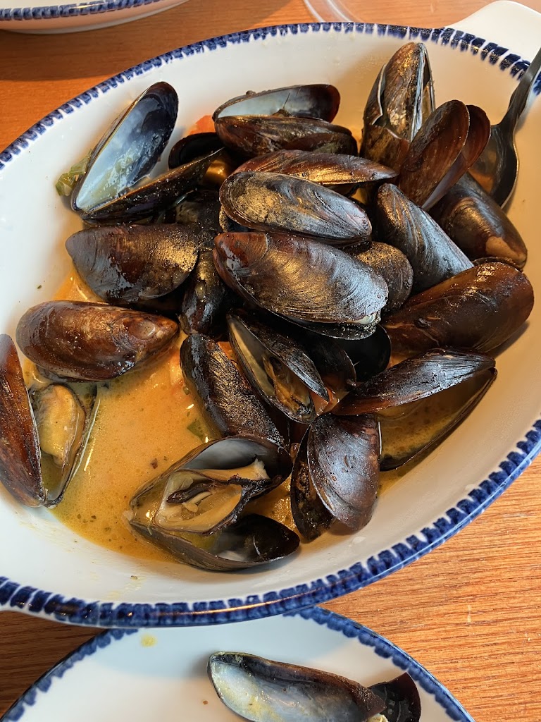 Mussels