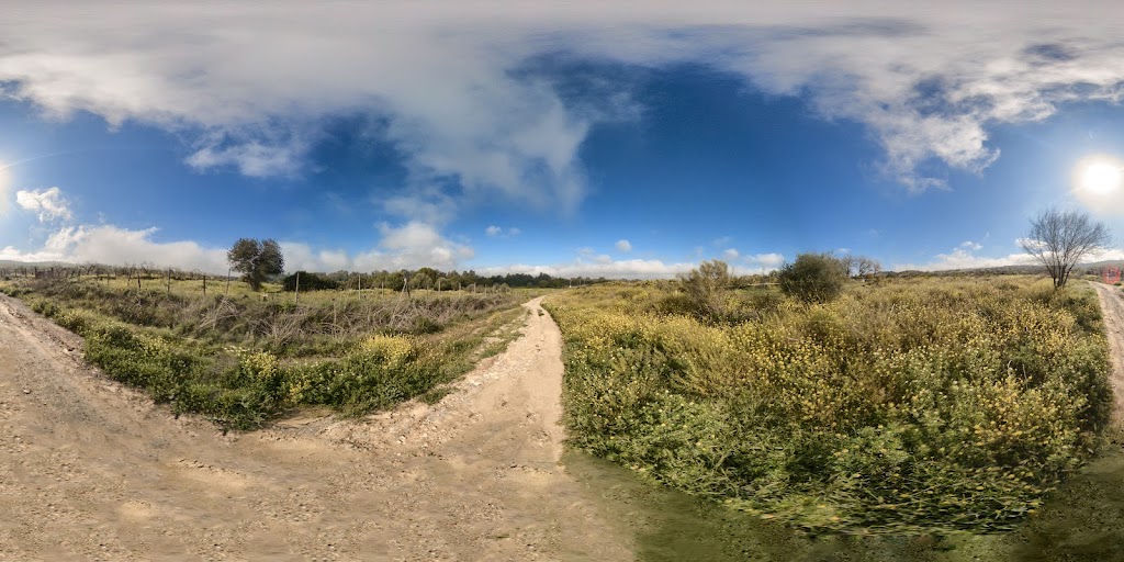Corredor verde del Guadiamar (Sanlucar)