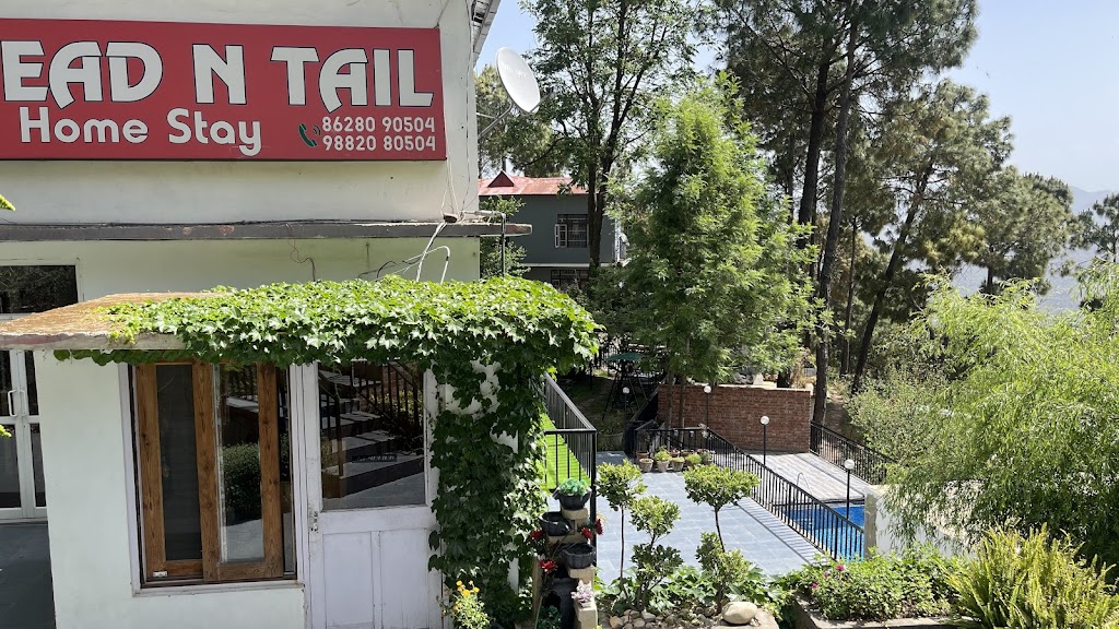 Head N Tail Kasauli With Swimming Pool