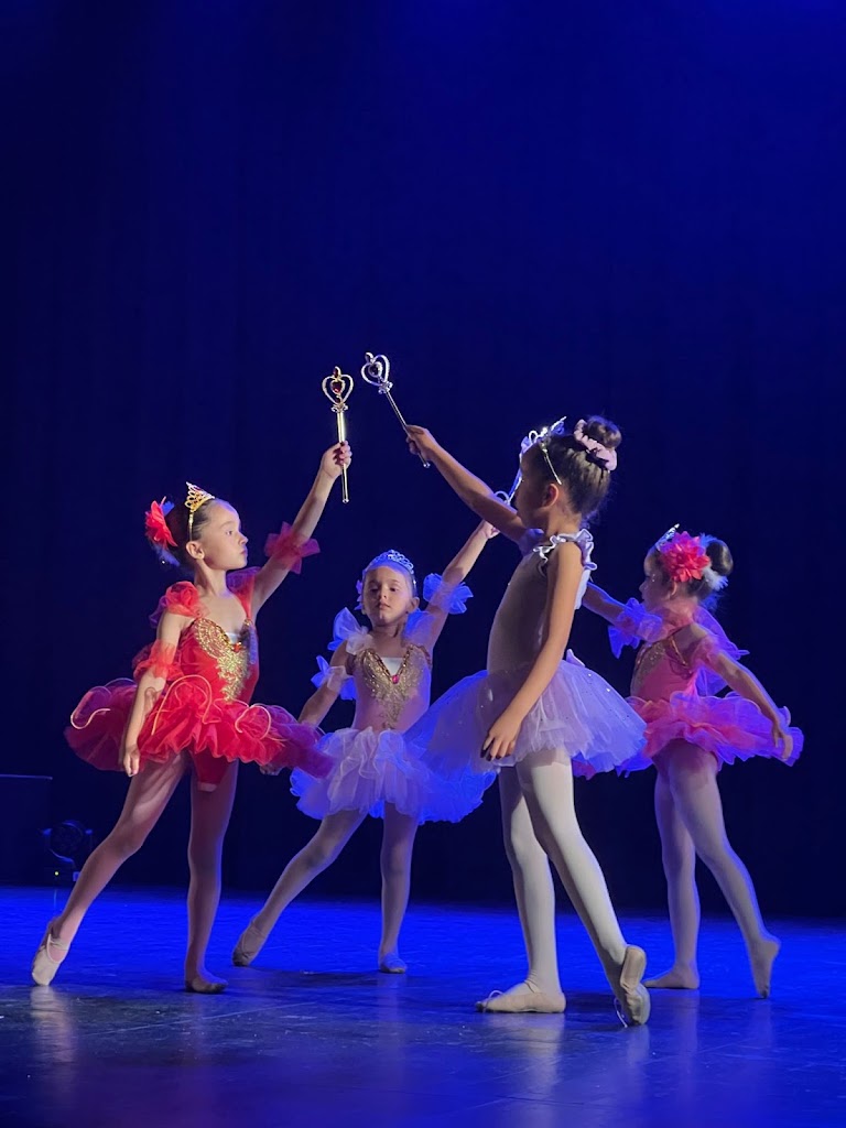 Escuela de danza y musica Anita Lorenzo — Del propietario