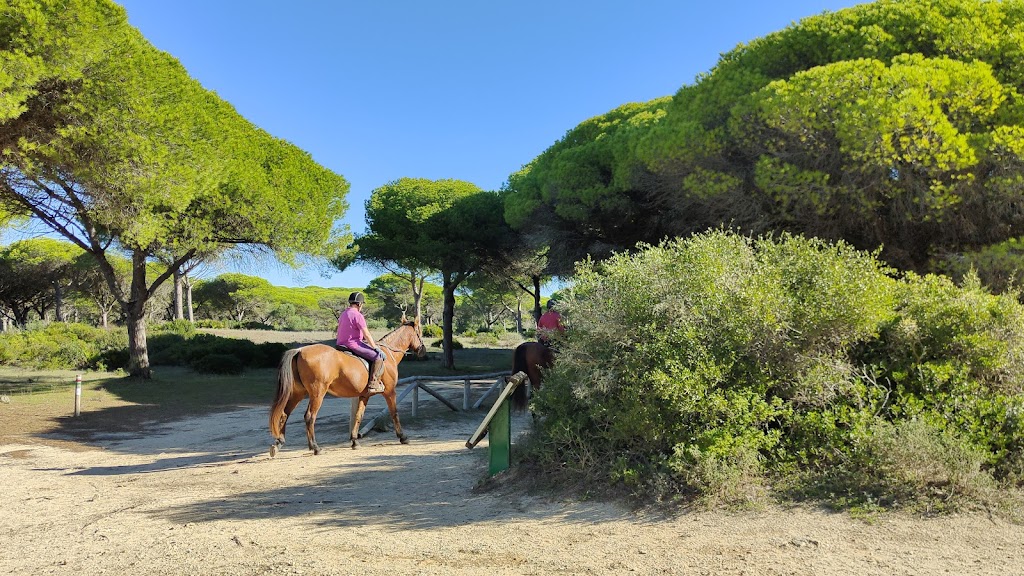 Sendero El Acantilado SL-A 111