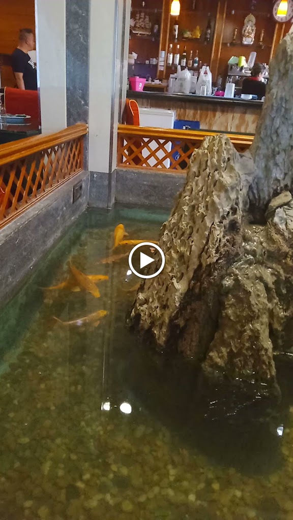 Restaurante Chino Feliz II — Videos