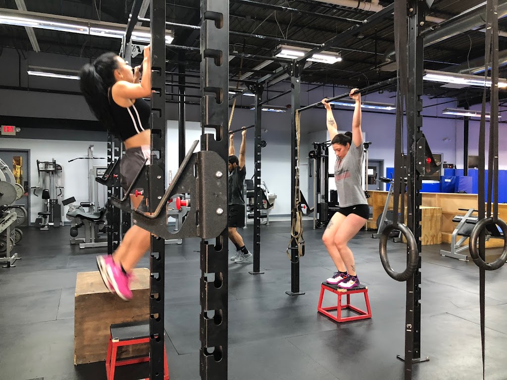  Knuckleup Barbell Club