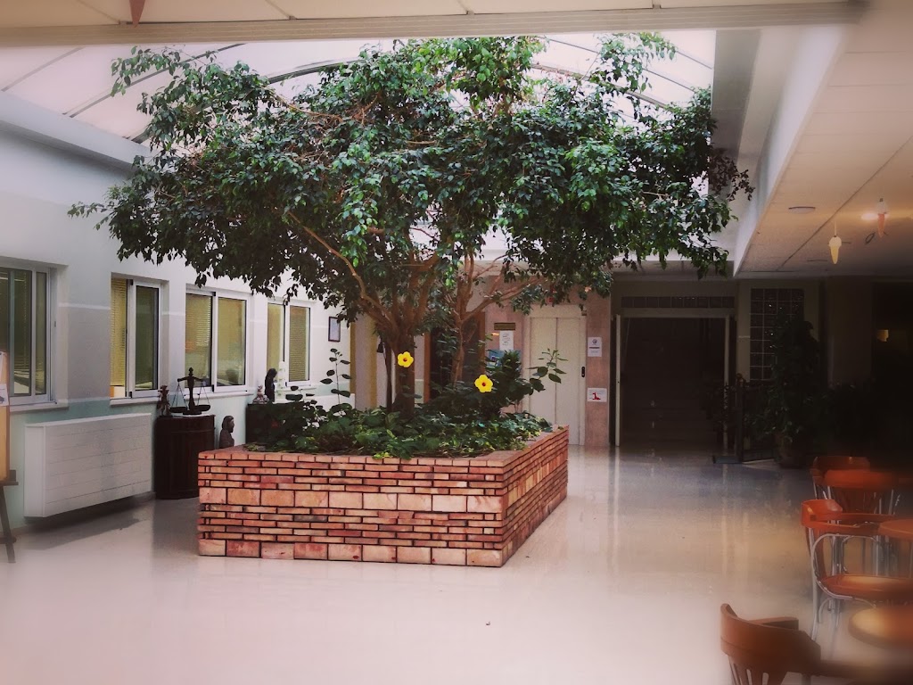 Residencia de 3a Edad Villa de Altea les Boqueres Gestion Publica