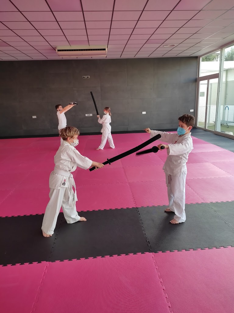 ESCUELA DE AIKIDO TAKE