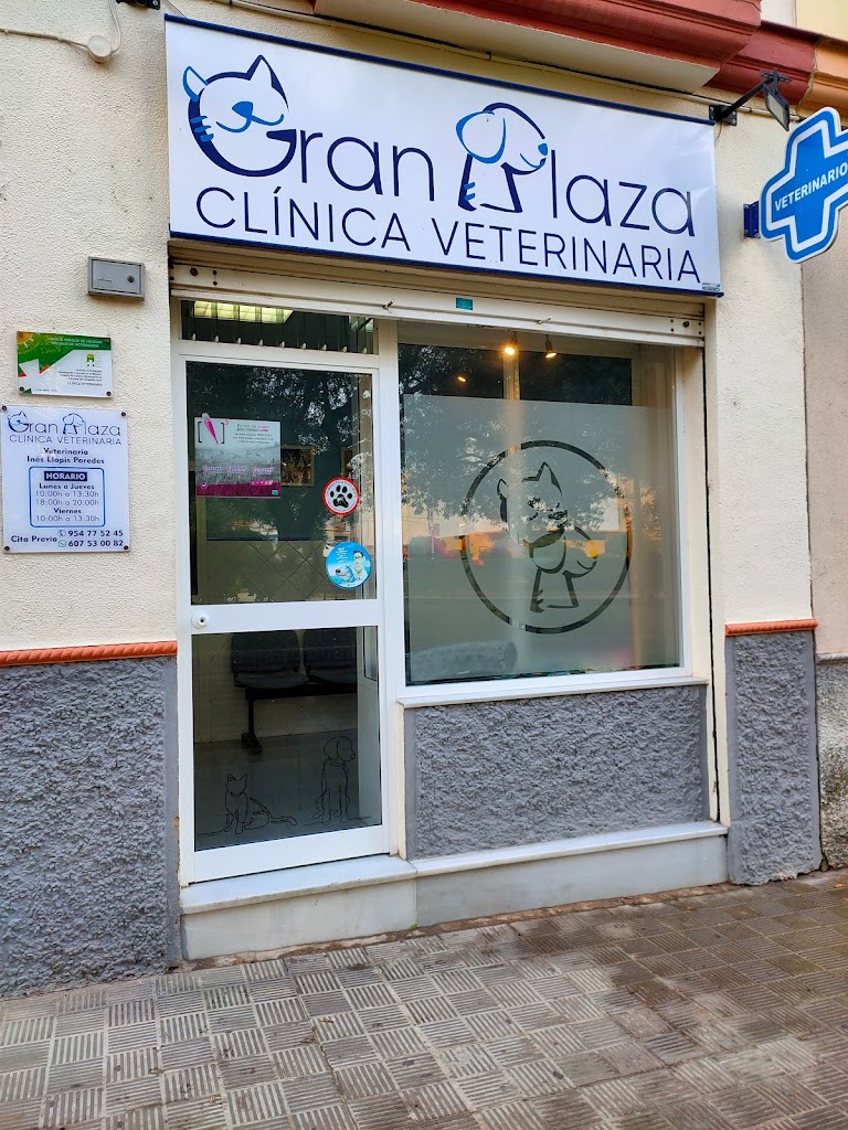 Clinica Veterinaria Gran Plaza