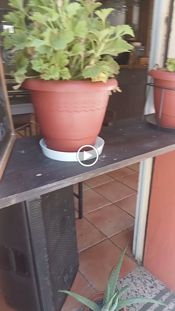 La Nova Terrasseta del Parc — Videos