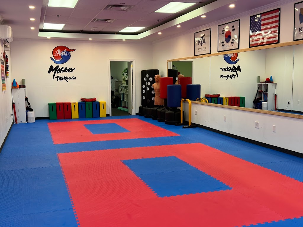  Master Taekwondo