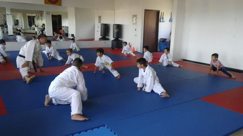  Budo Zone: Physical Fitness, Martial Arts School, Self Defense School, Karate Do School