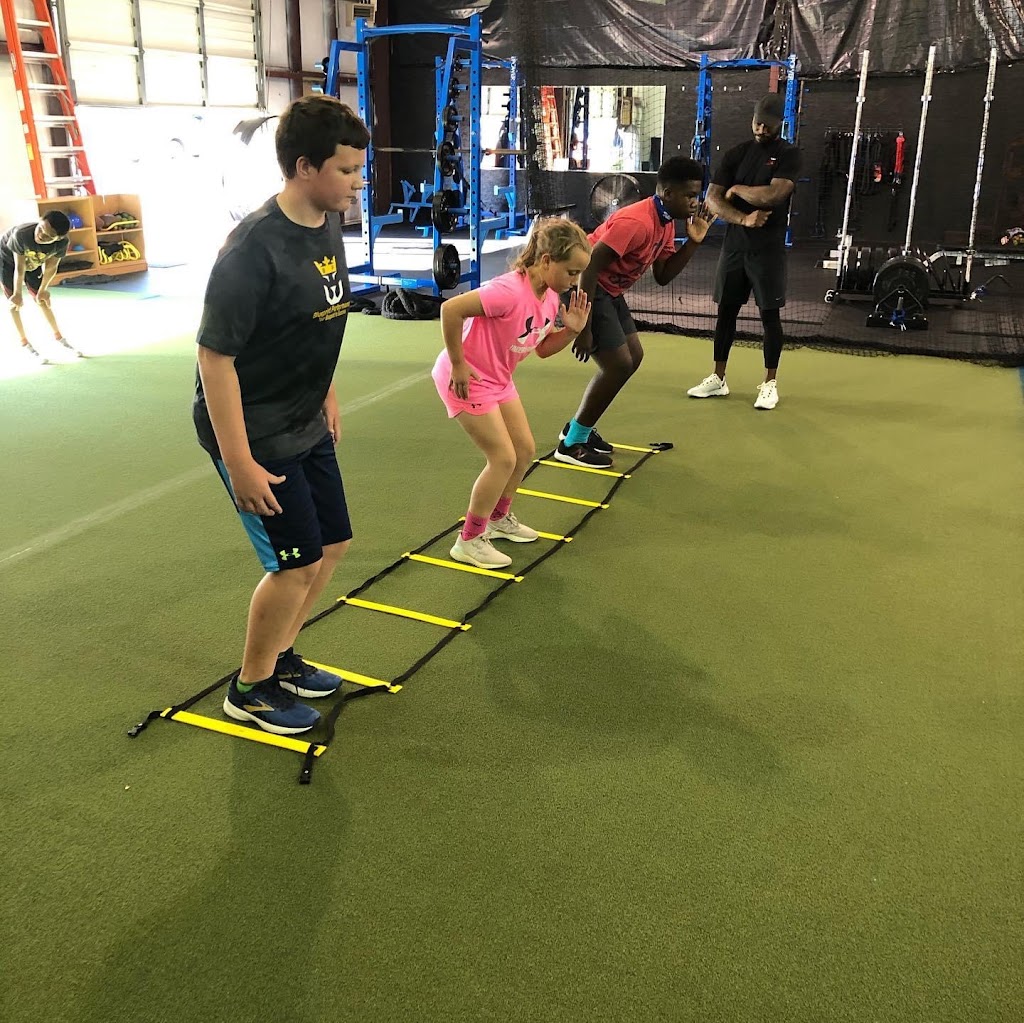  BLUEPRINT PERFORMANCE