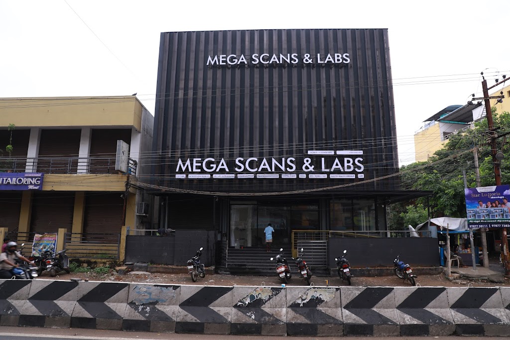 Dr. Mega Scans And Labs Best Diagnostic Scan Center In Madurai Ct Scan Mri Scan Ultra Sound Echo Master Health Checkup
