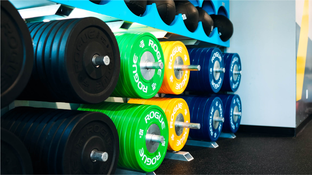  Iron Tribe Fitness - Auburn