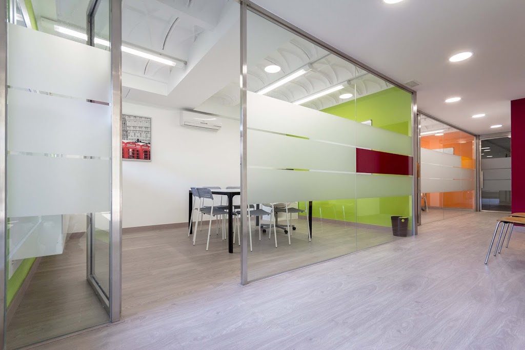 Maxwell English Academy