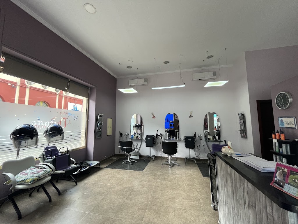 Peluqueria y Belleza Duende — Interior