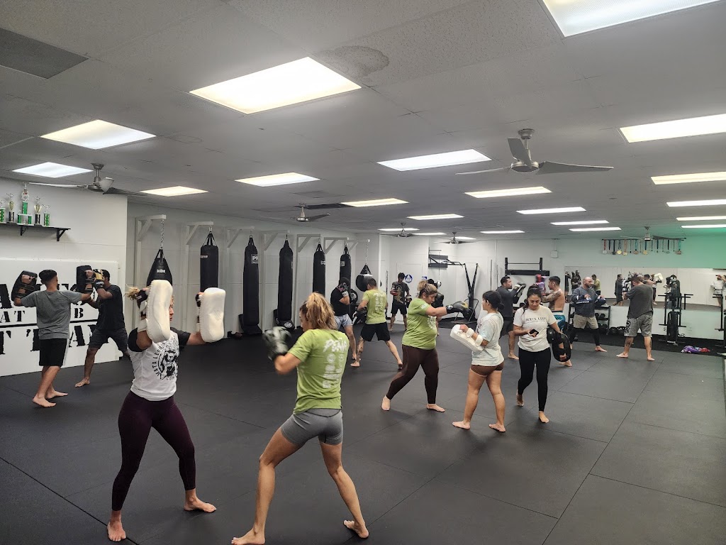  Mata Leon Combat Club