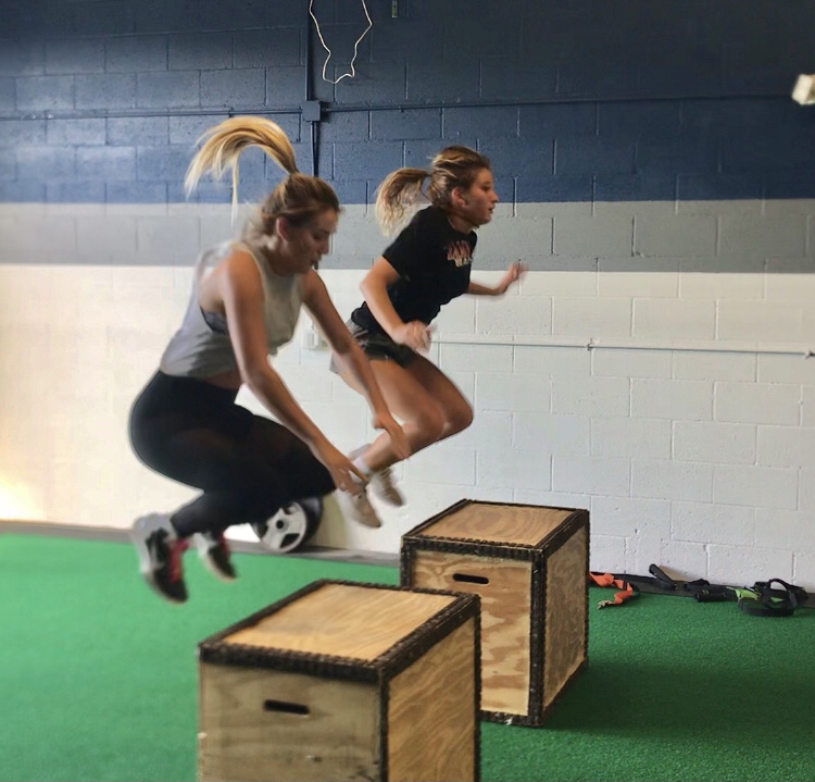  The Athletic Factory