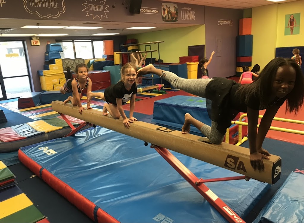  The Little Gym of Springhouse