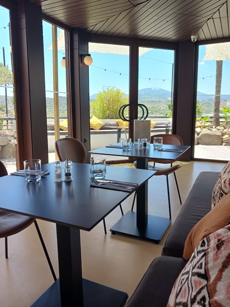 FED Terraza — Ambiente