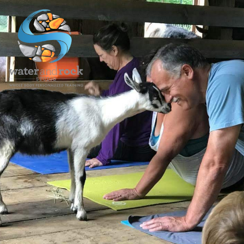  Water and Rock Studio