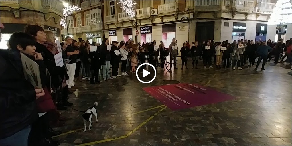 Parlamento Andaluz — Videos
