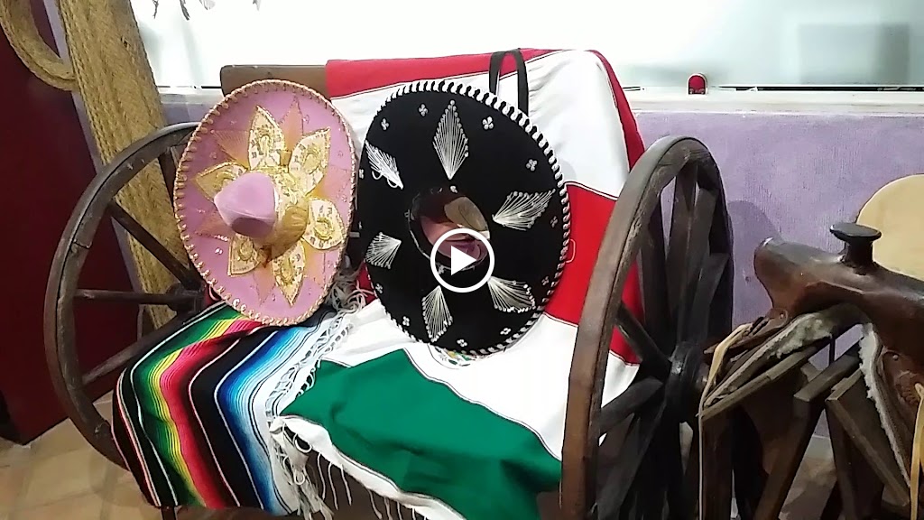 Restaurante El Paso de Estepona — Videos