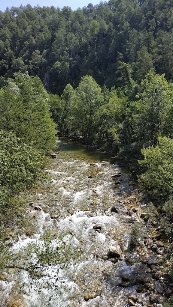 Via Verda del Llobregat