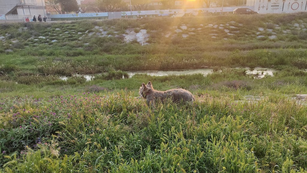 Parque Hormiga, Nueva Cartagena