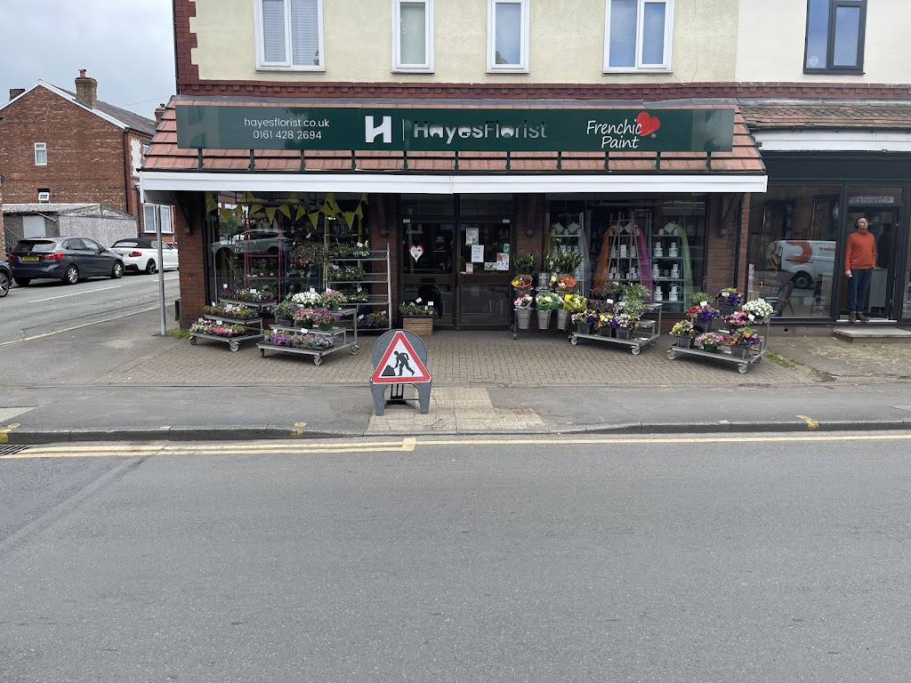 Hayes the Florist - Frenchic Paint Stockists