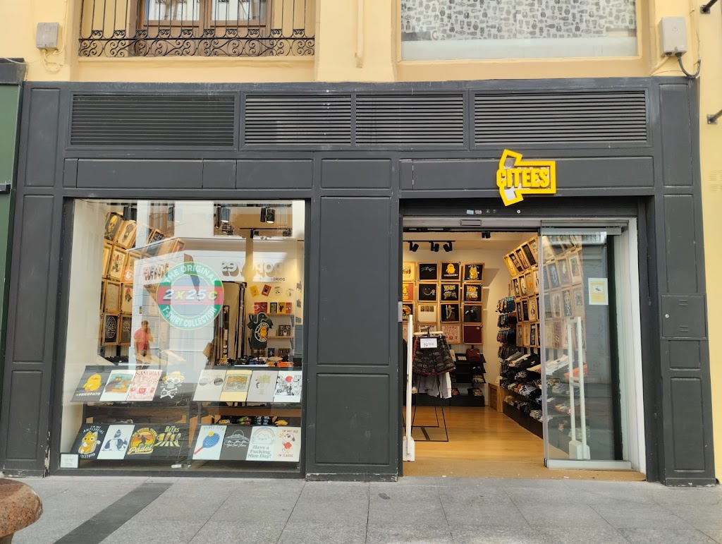 Citees Zaragoza Alfonso