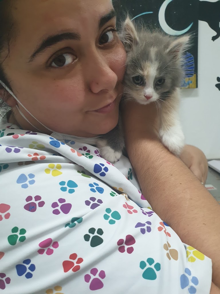 Animalia Centro Veterinario