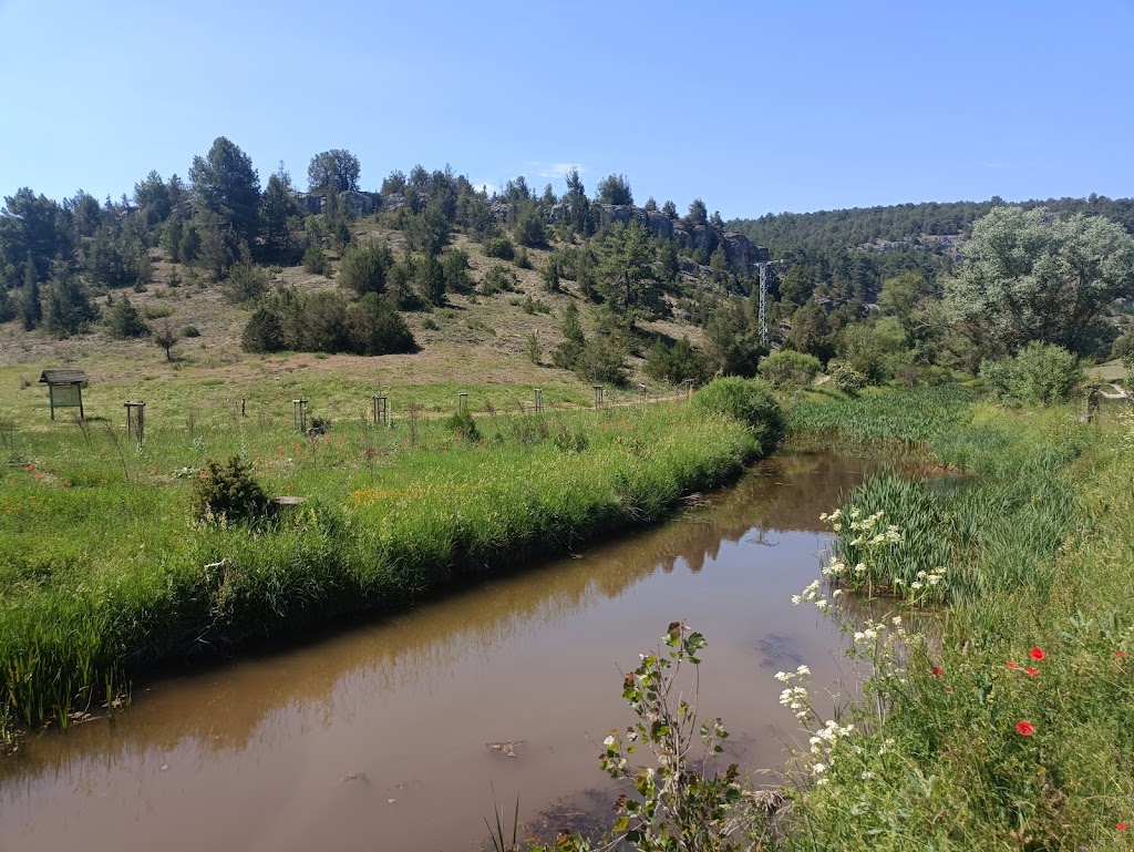 Senda del Rio (Canon del rio Lobos)