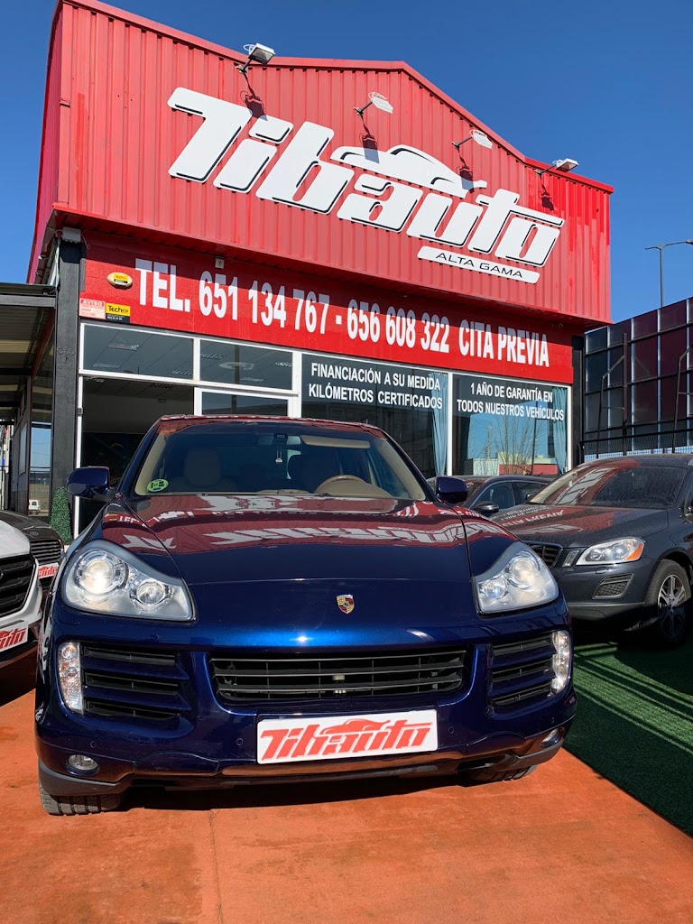 Tibauto — Mas recientes