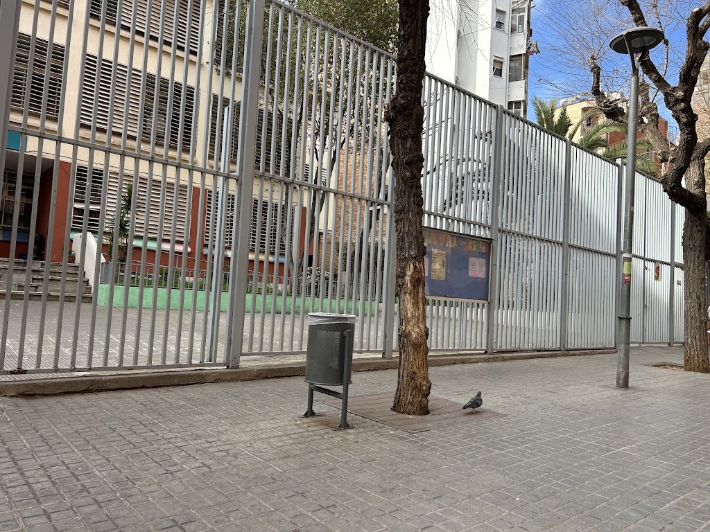 Escuela Pau Casals