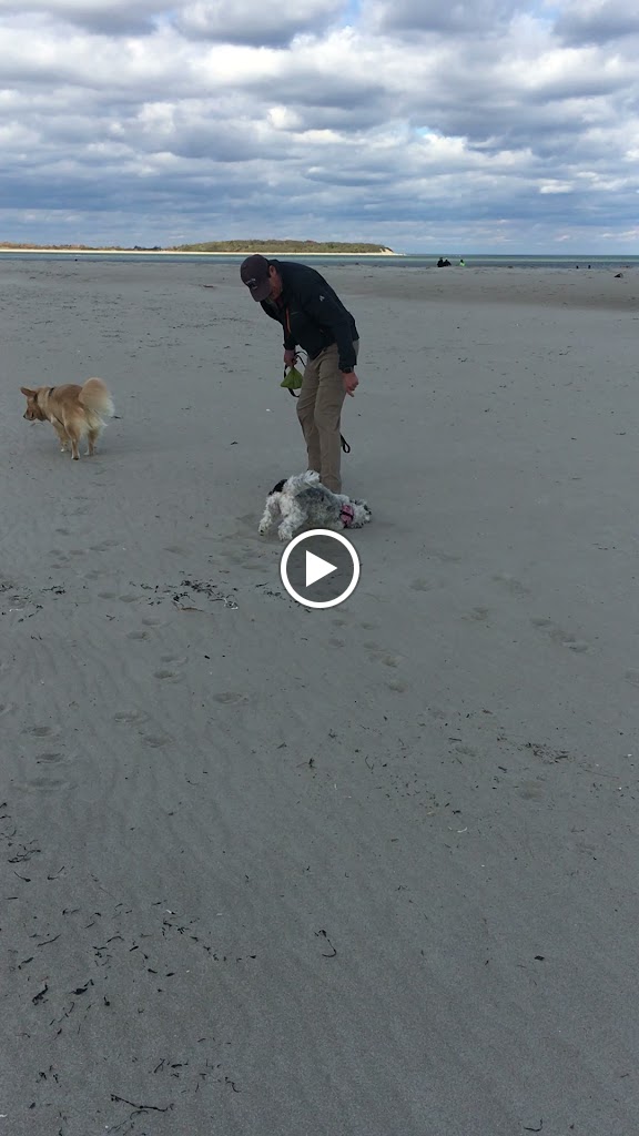  STRONG FIT HEALTHY Personal and group fitness training by Lisa Kiely