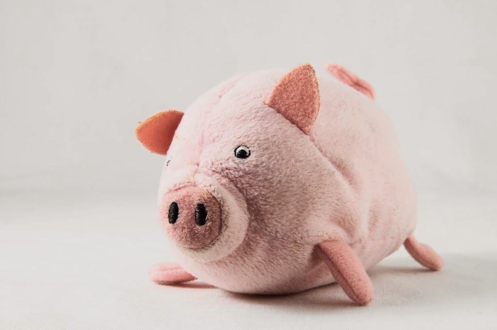 Lucky Pig
