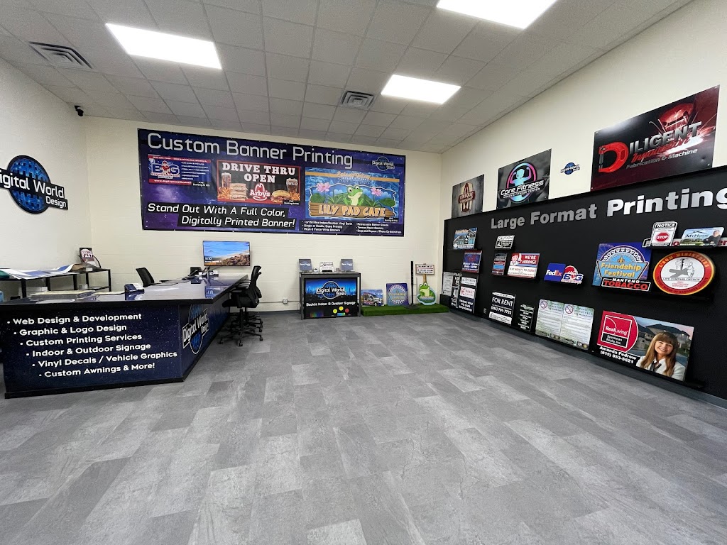 Digital World Design Ltd