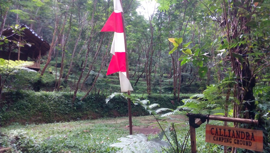 Calliandra Camping Ground