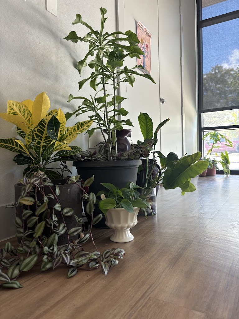  Sagebrush Yoga Collective, LLC