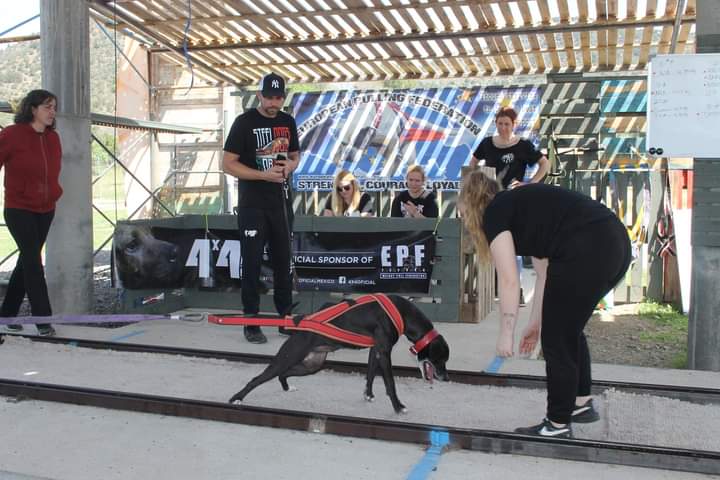 centro deportivo gismircan