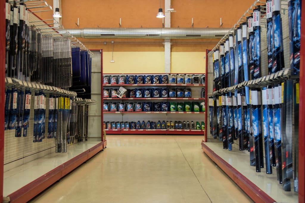 MOLTOCAR Autocenter — Interior