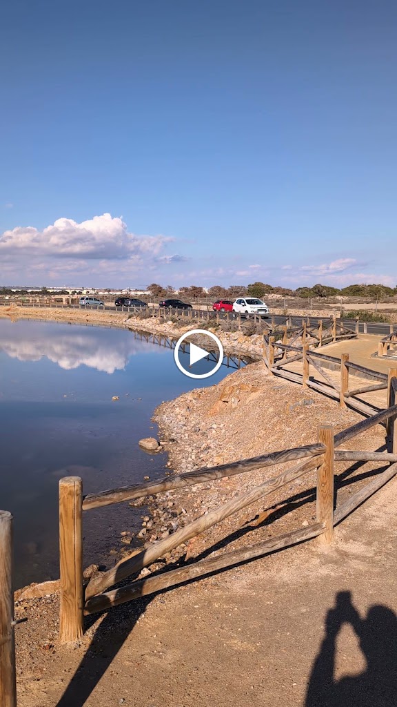 OLVOS DEL MEDITERRANEO — Videos